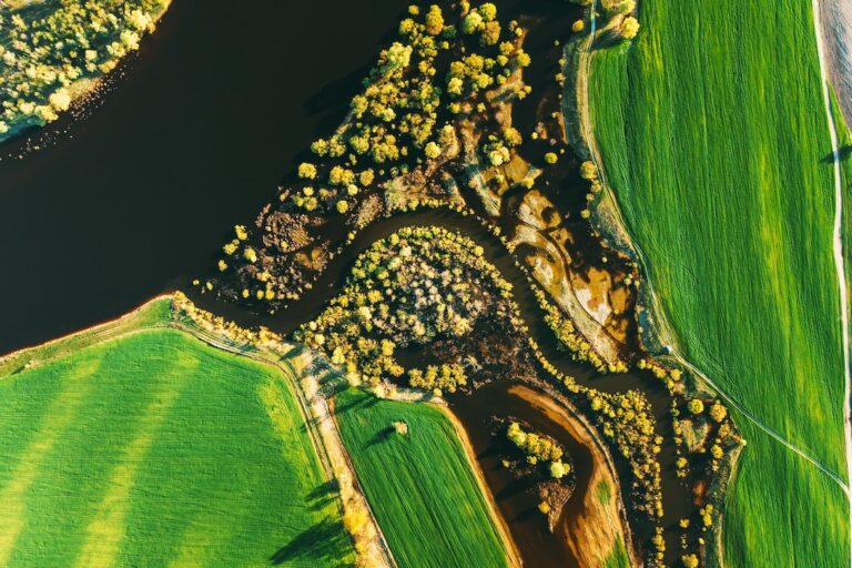 aerial view of river winding through green fields 2026 03 24 11 39 14 utc